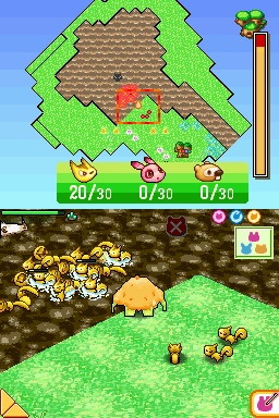DS Screenshots