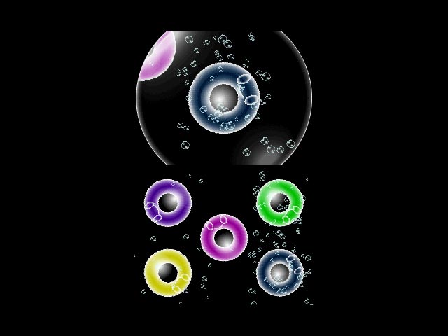 DS Screenshots