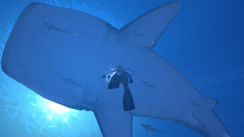 WII Screenshots
