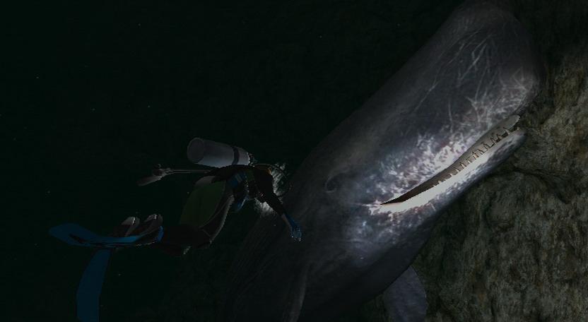 WII Screenshots