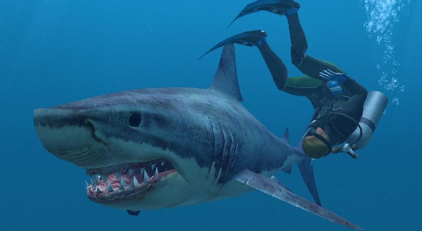 WII Screenshots