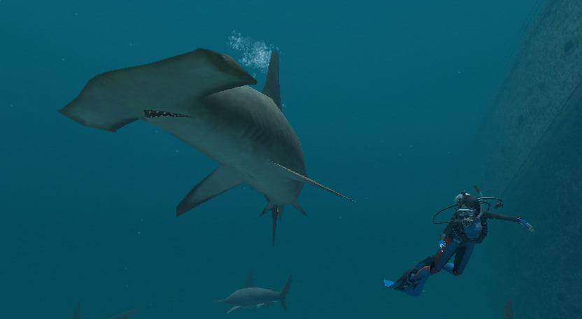WII Screenshots