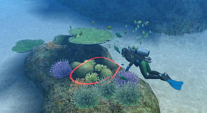 WII Screenshots