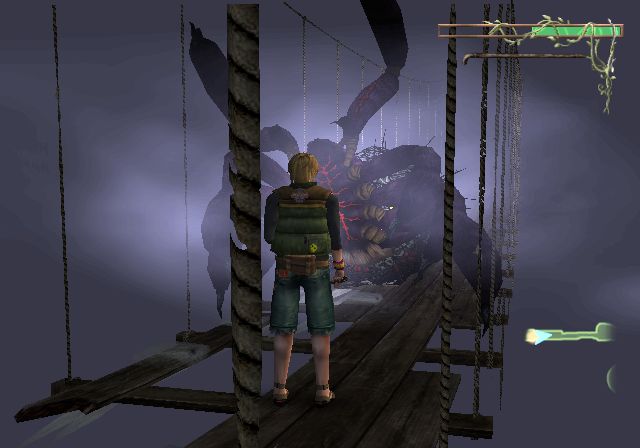 WII Screenshots