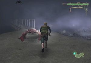 WII Screenshots