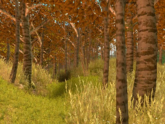 XBOX Screenshots