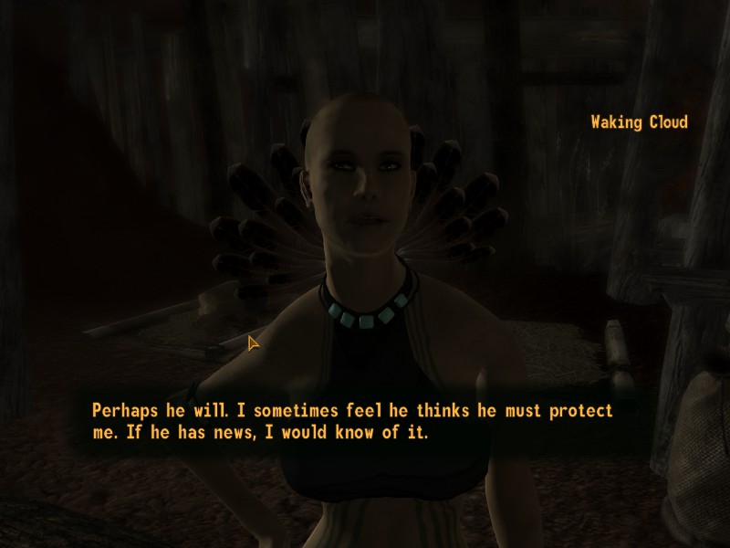 Fallout: New Vegas