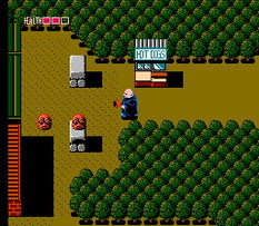 NES Screenshots