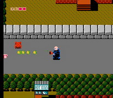 NES Screenshots