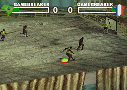DS Screenshots
