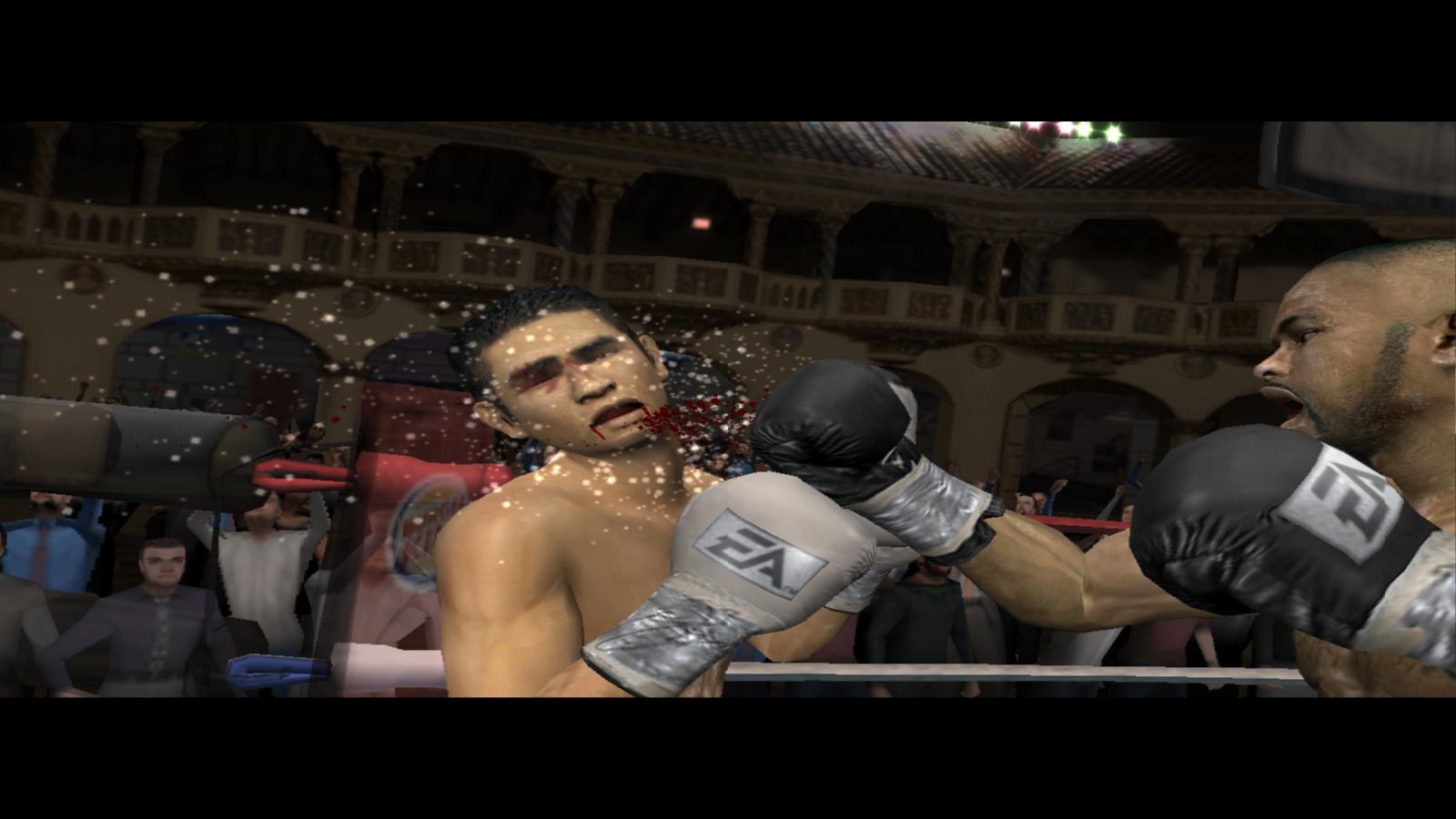 Fight Night
