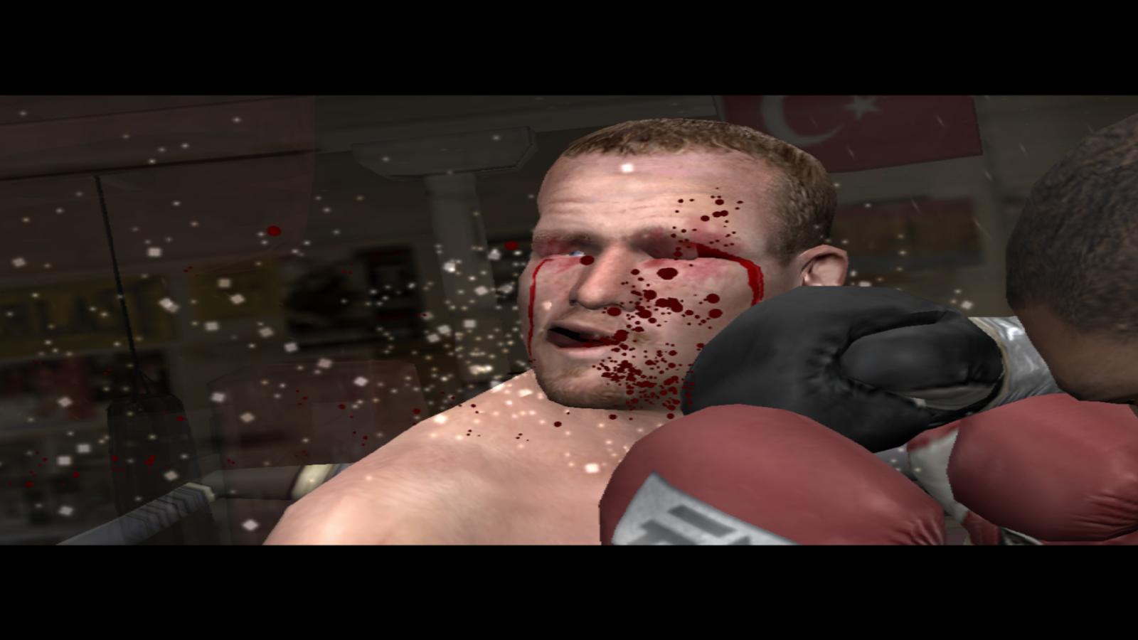 Fight Night Round 3