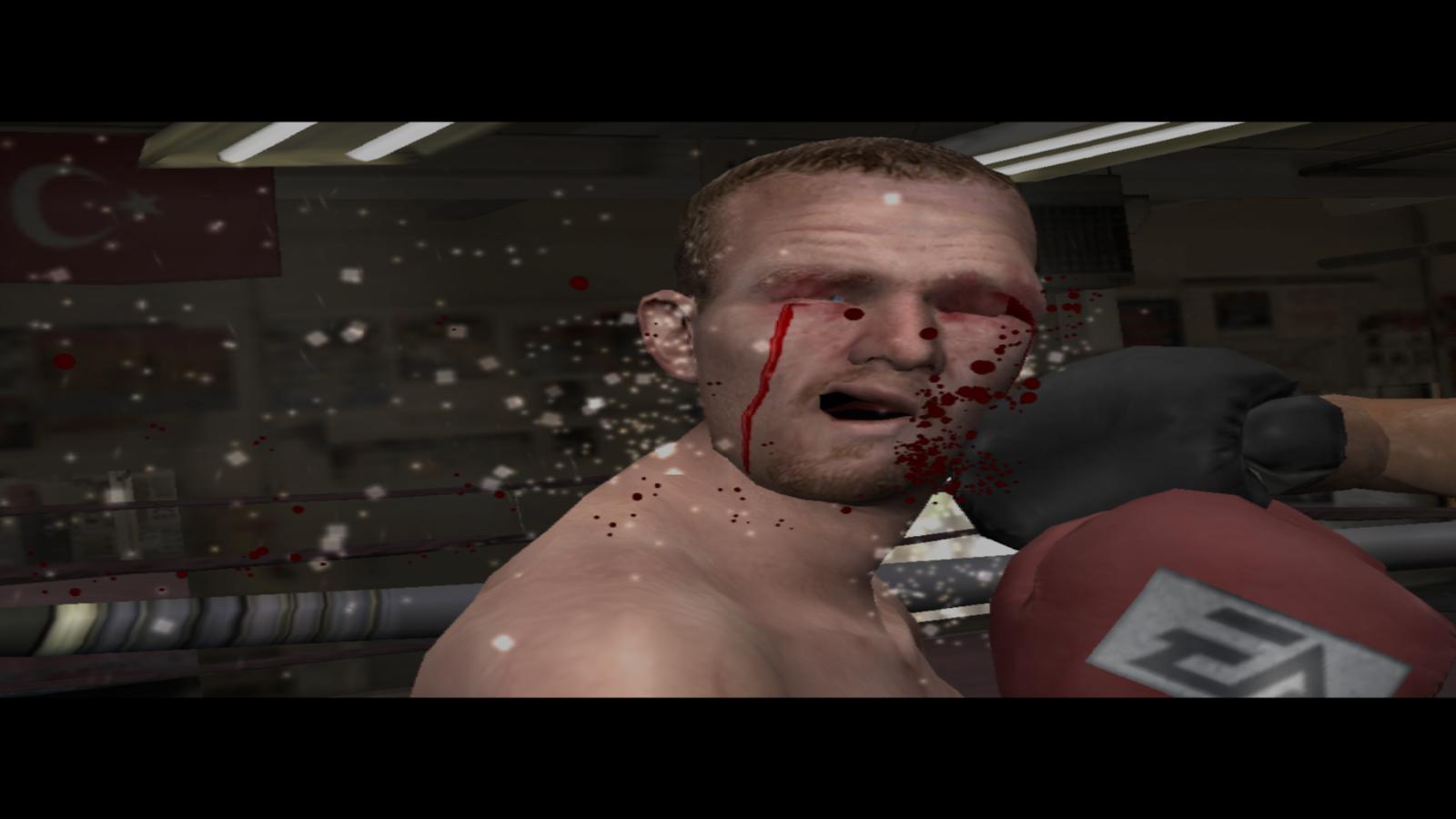 Fight Night Round 3