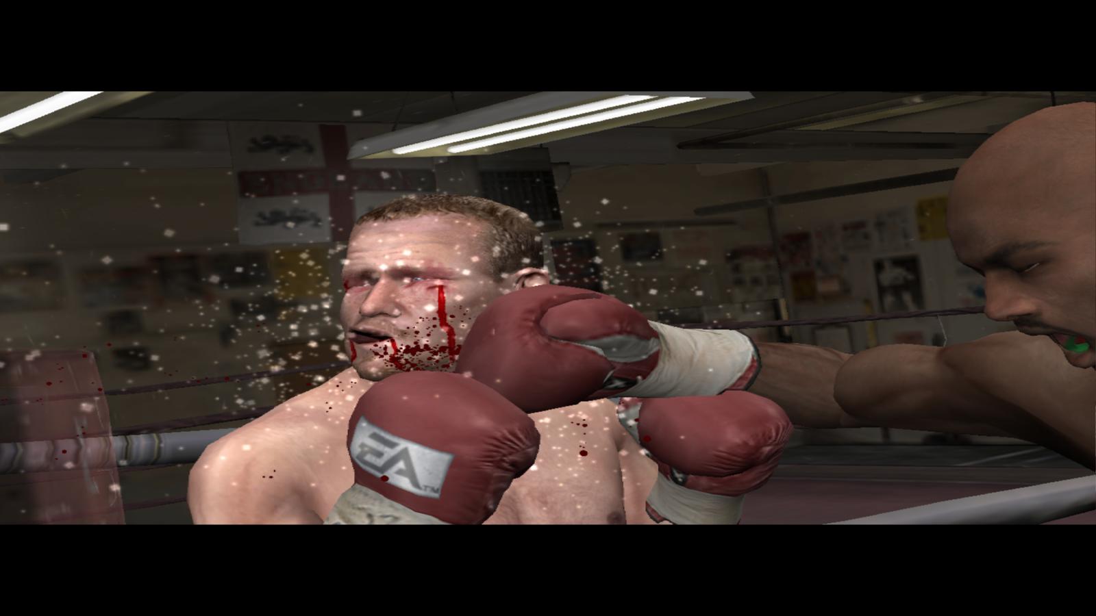 Fight Night