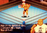 Fire Pro Wrestling G