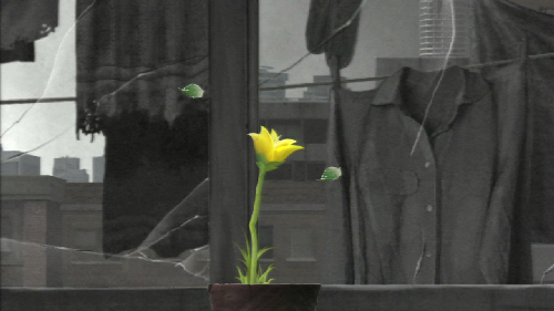 Flower