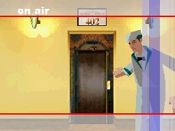 DS Screenshots