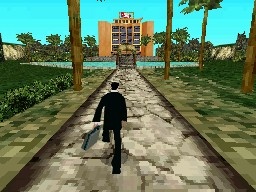 DS Screenshots