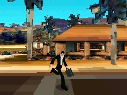 DS Screenshots