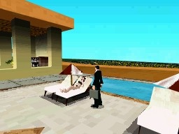 DS Screenshots