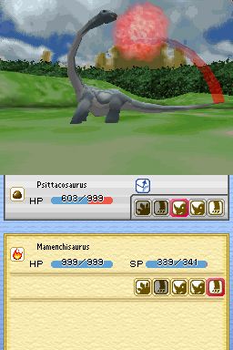 DS Screenshots