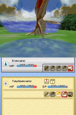 DS Screenshots