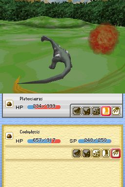 DS Screenshots