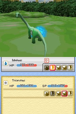 DS Screenshots