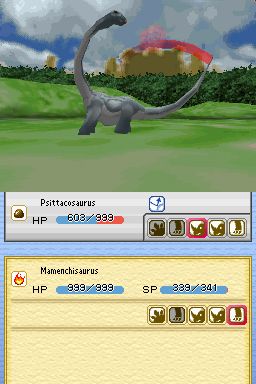 DS Screenshots