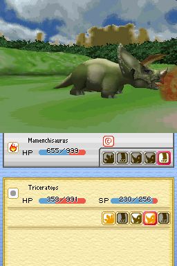 DS Screenshots