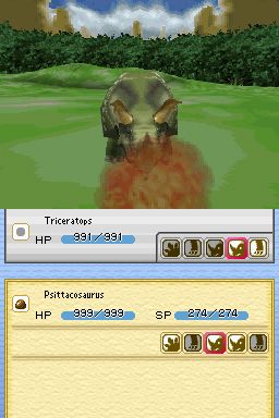 DS Screenshots