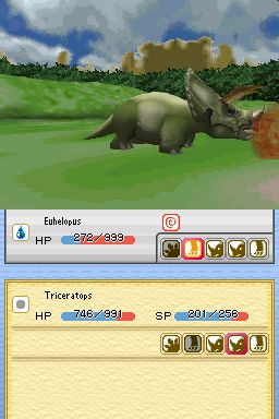 DS Screenshots