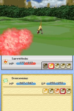 DS Screenshots