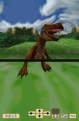DS Screenshots