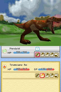 DS Screenshots