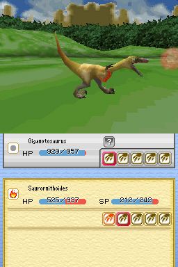 DS Screenshots