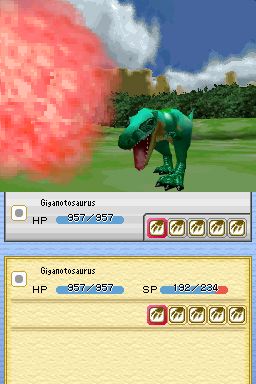 DS Screenshots