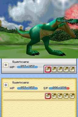 DS Screenshots