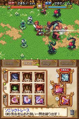 DS Screenshots