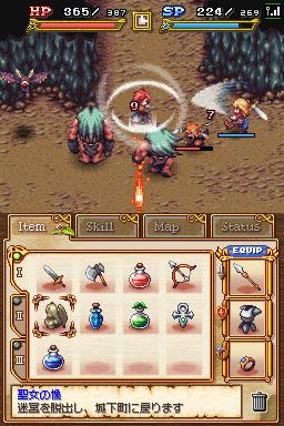 DS Screenshots