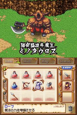DS Screenshots