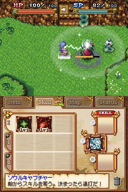 DS Screenshots