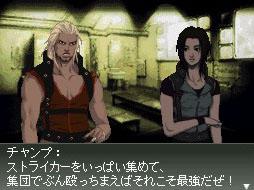 DS Screenshots