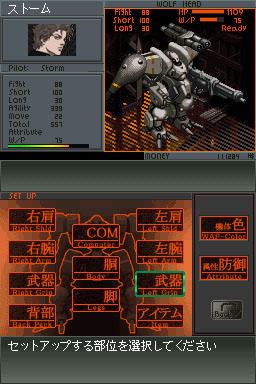 DS Screenshots