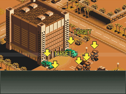 DS Screenshots