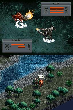 DS Screenshots