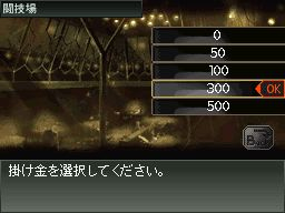 DS Screenshots