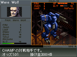 DS Screenshots