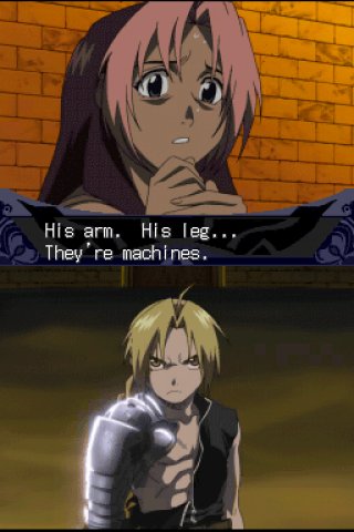 DS Screenshots