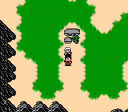 NES Screenshots
